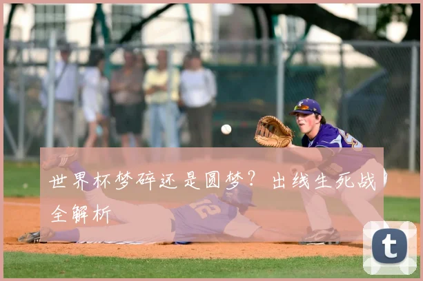世界杯梦碎还是圆梦？出线生死战全解析