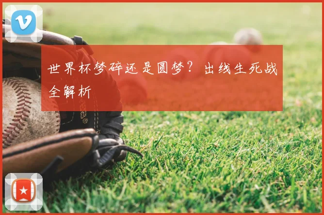 世界杯梦碎还是圆梦？出线生死战全解析